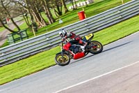 Oulton-Park-21st-March-2020;PJ-Motorsport-Photography-2020;anglesey;brands-hatch;cadwell-park;croft;donington-park;enduro-digital-images;event-digital-images;eventdigitalimages;mallory;no-limits;oulton-park;peter-wileman-photography;racing-digital-images;silverstone;snetterton;trackday-digital-images;trackday-photos;vmcc-banbury-run;welsh-2-day-enduro